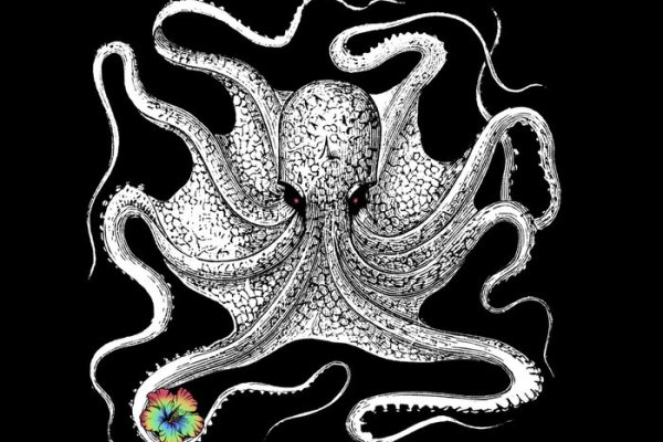 Kraken зеркало рабочее