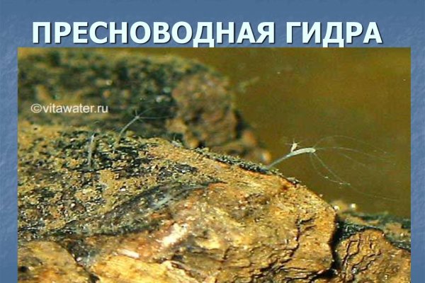 Вход на кракен