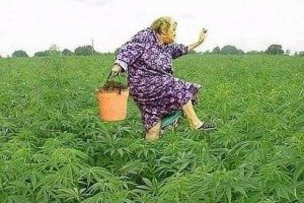 Кракен ворует аккаунты