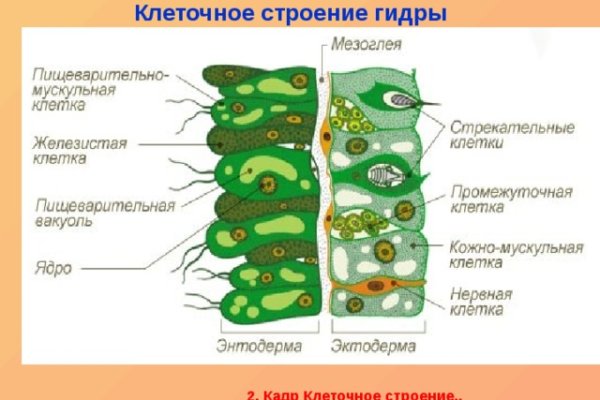 Кракен что можно купить