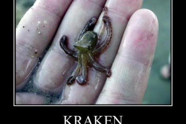 Kraken shop